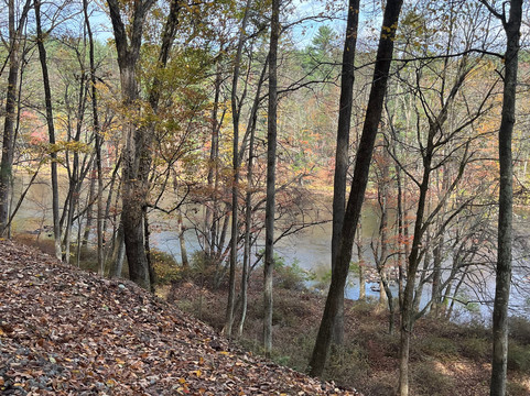 Soarin Eagle Rail Tours-霍利必去景点