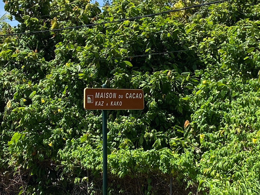 La Maison du Cacao-Pointe-Noire必去景点