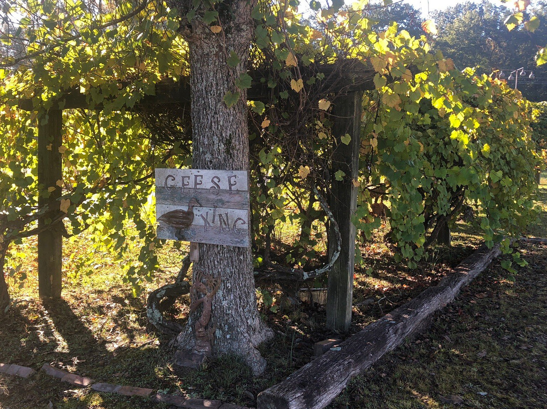 The Old Place Bed & Breakfast主图