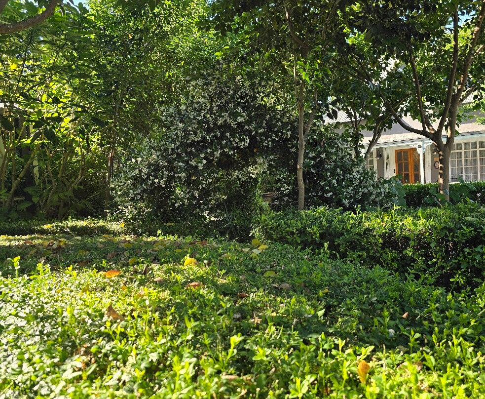 Hobbit Boutique Hotel主图