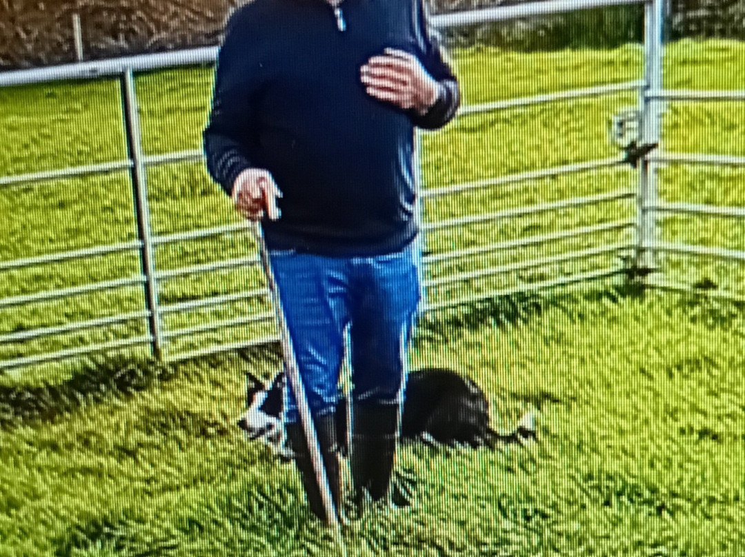 Glen Keen Farm-Derryheigh必去景点