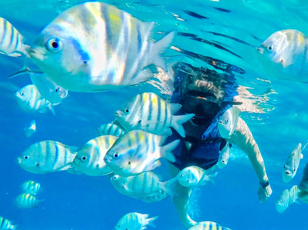 Bravo Tours-苏莎亚必去景点