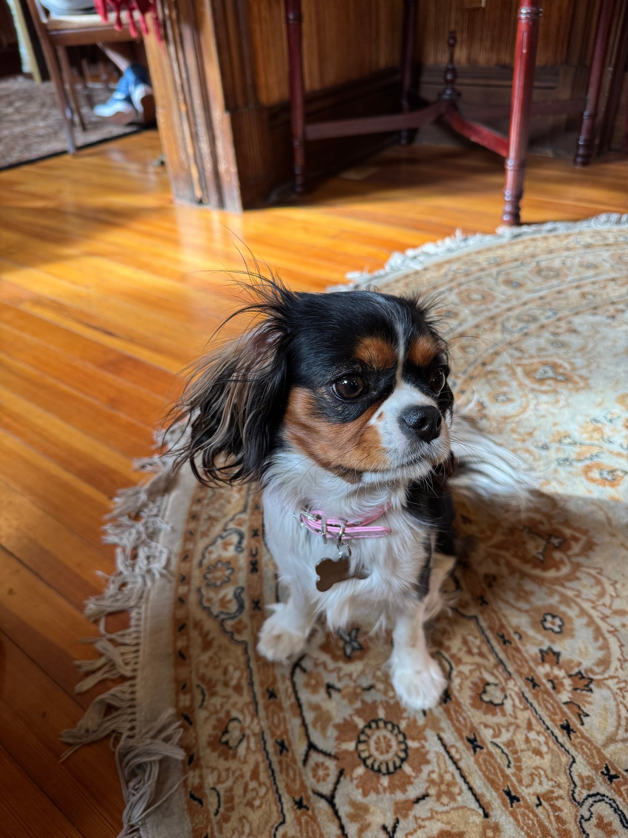 10 Clarke Place-浴室