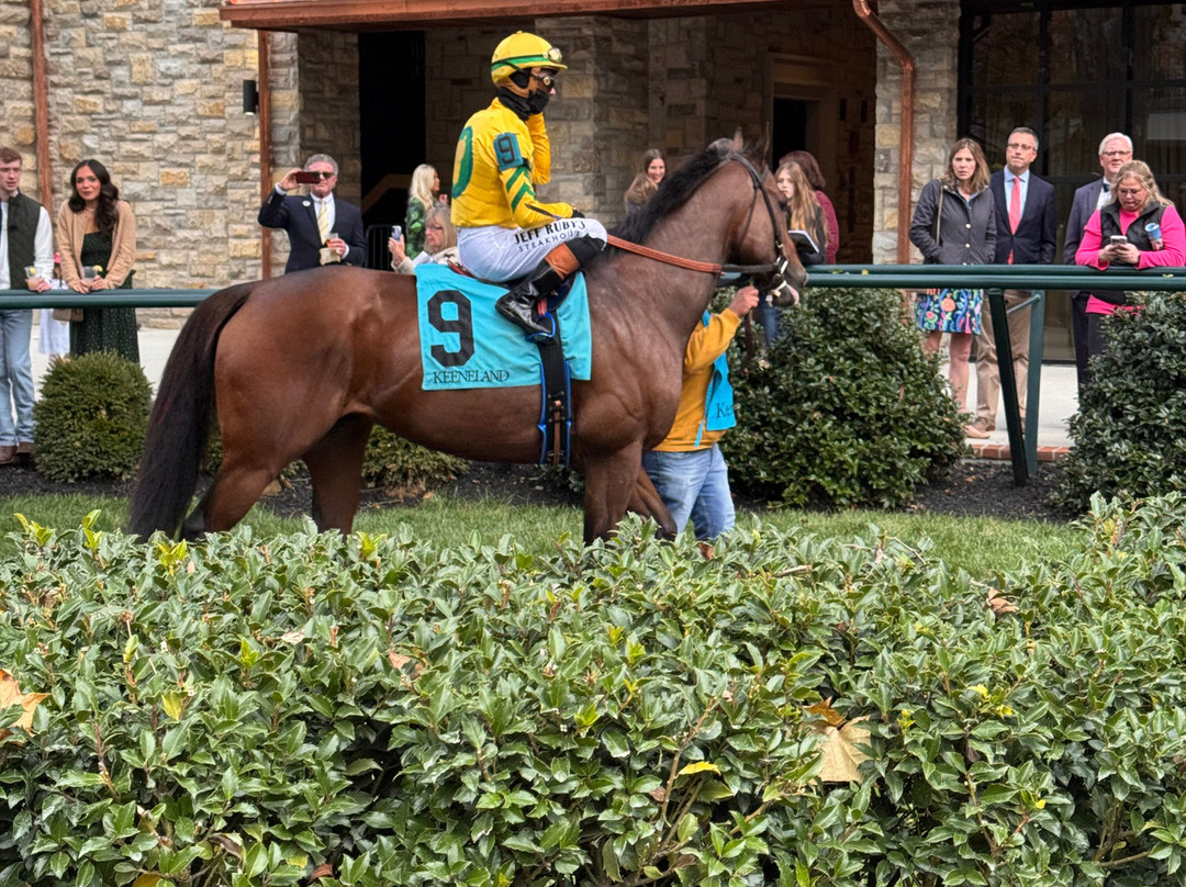 Keeneland-列克星敦必去景点