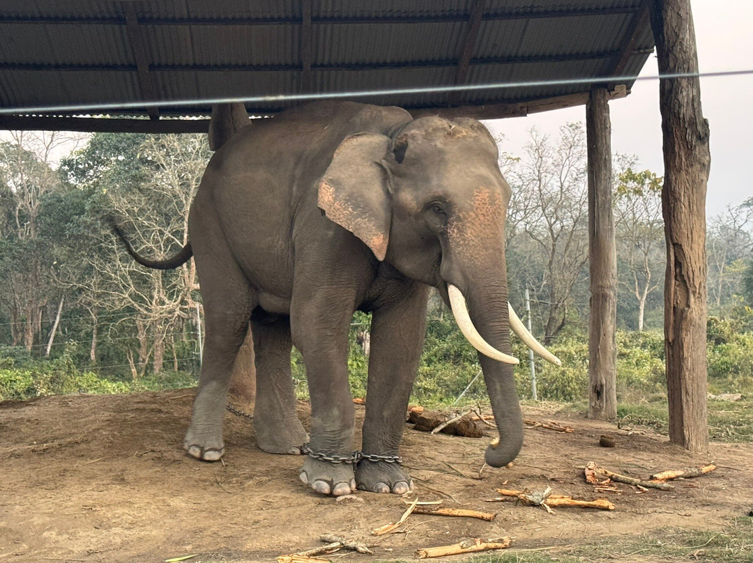 Wild Nabin Tour-奇旺国家公国必去景点