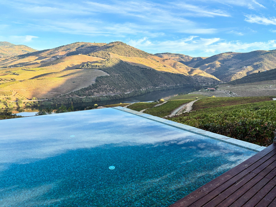 Gourmet Safaris-Cremorne必去景点