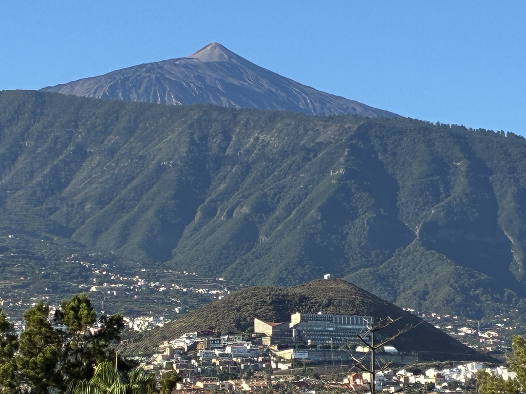 Hotel TRH Taoro Garden主图