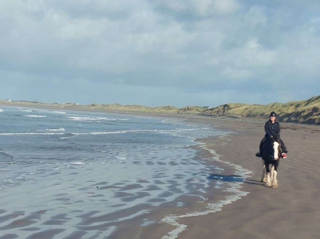 O'Connor Trekking-Castlegregory必去景点