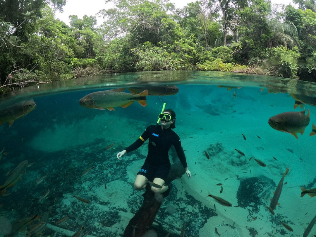 Recanto Ecologico Rio da Prata-博尼图必去景点