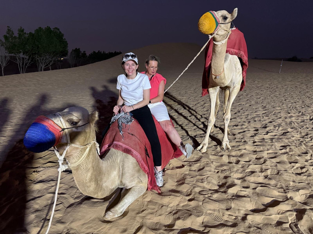 Red Dunes Safari by Luxury Tours-迪拜必去景点