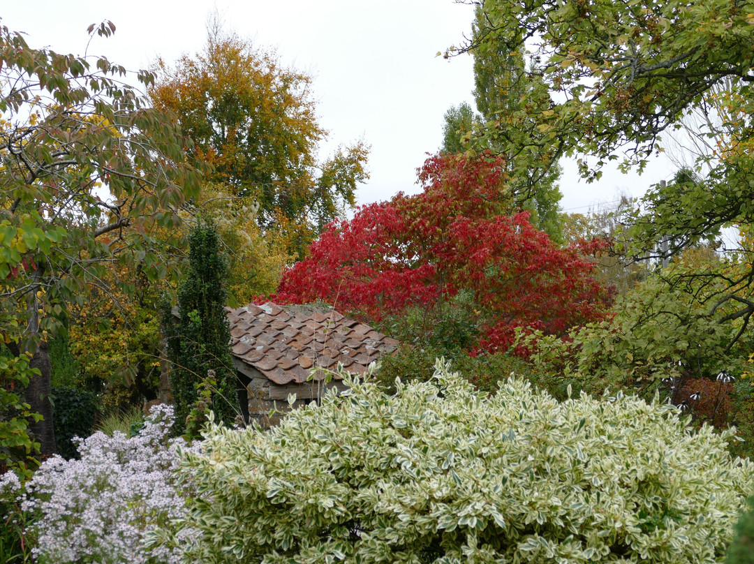 East Lambrook Manor Gardens-South Petherton必去景点