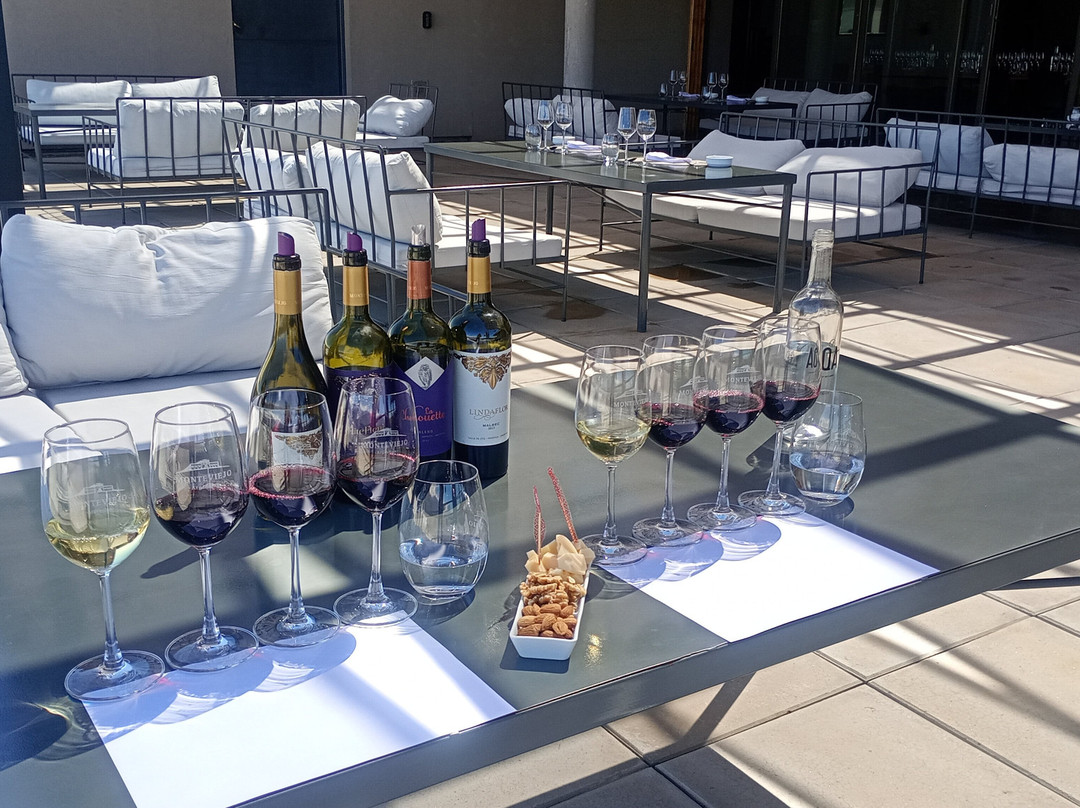 Bodega Monteviejo-Vista Flores必去景点