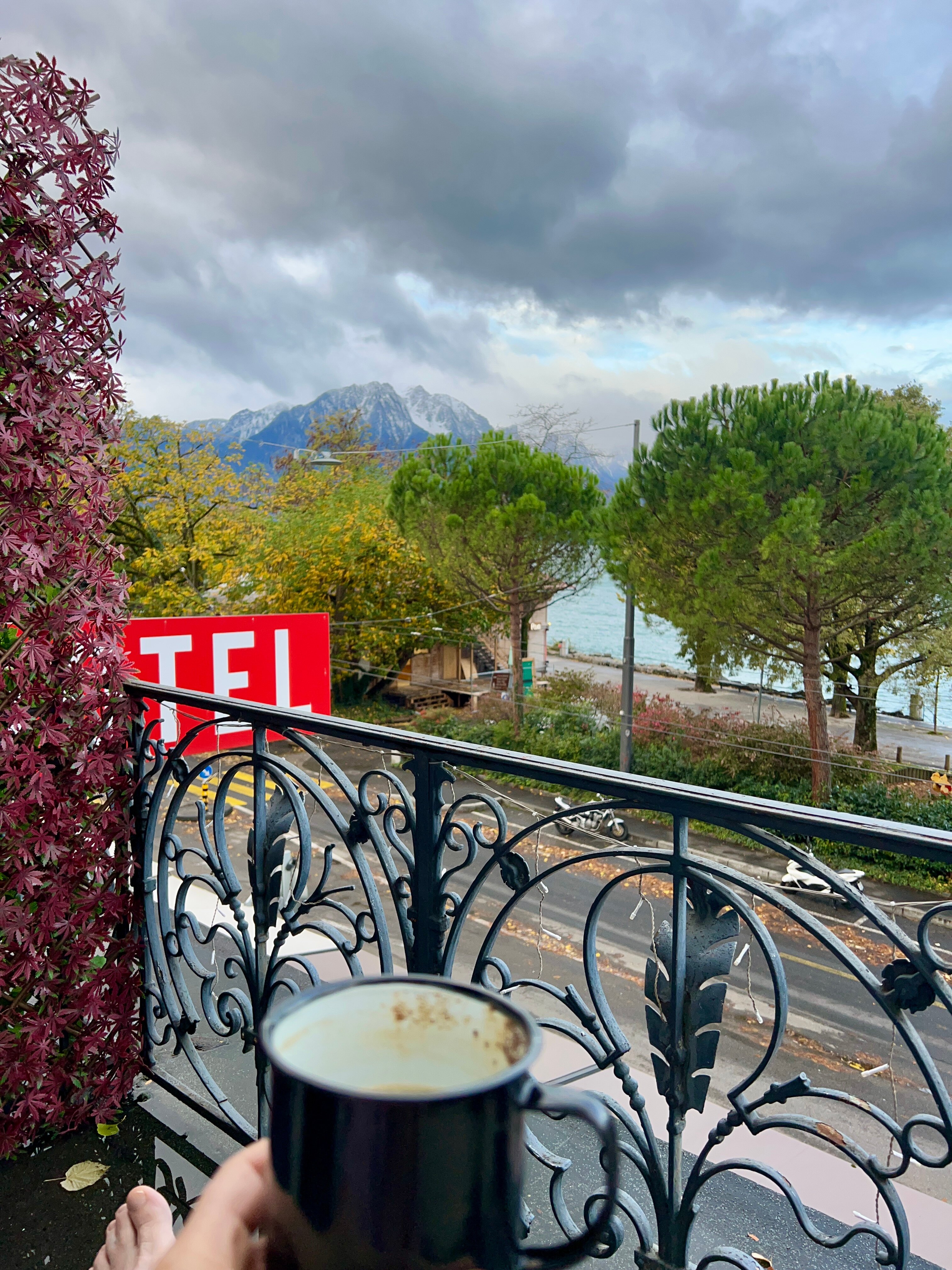 Hotel Parc et Lac-酒店景观