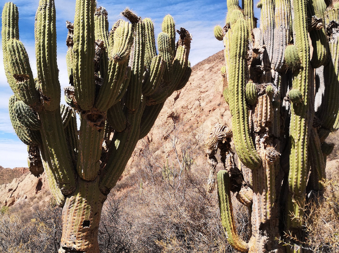 Green Planet Etno Eco Travel-Tupiza必去景点