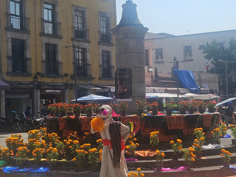 Merodeante-墨西哥城必去景点