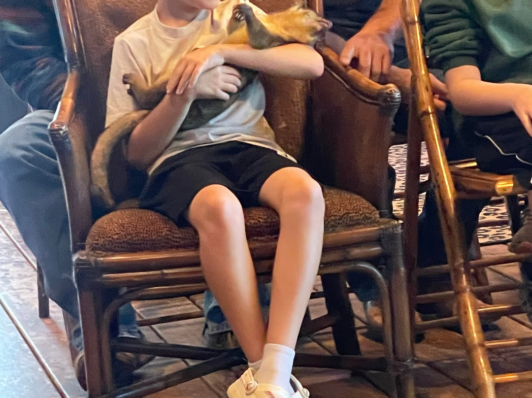 Tiger Safari Zoological Park-Tuttle必去景点