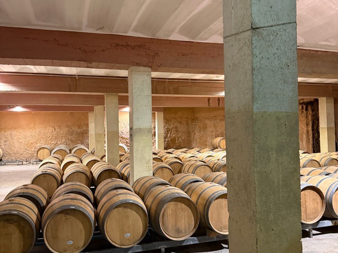 Bodega Mustiguillo-Utiel必去景点