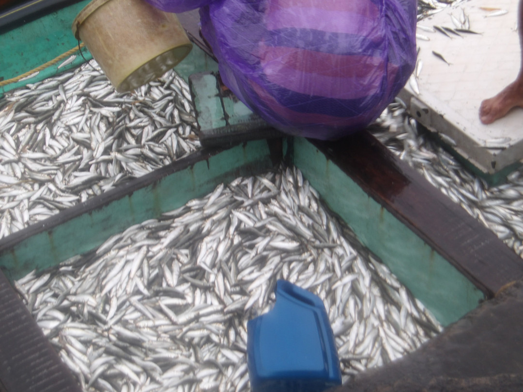 River Lap Homestay主图