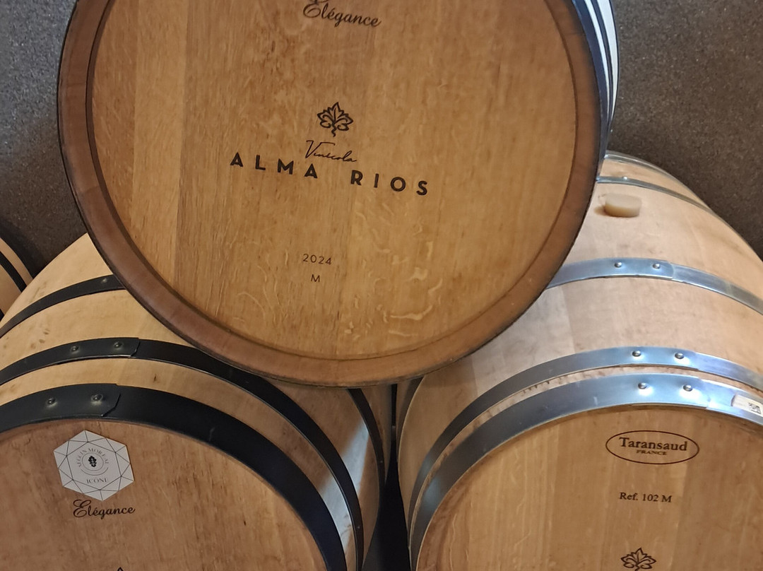 Vinícola Alma Rios-Patos de Minas必去景点