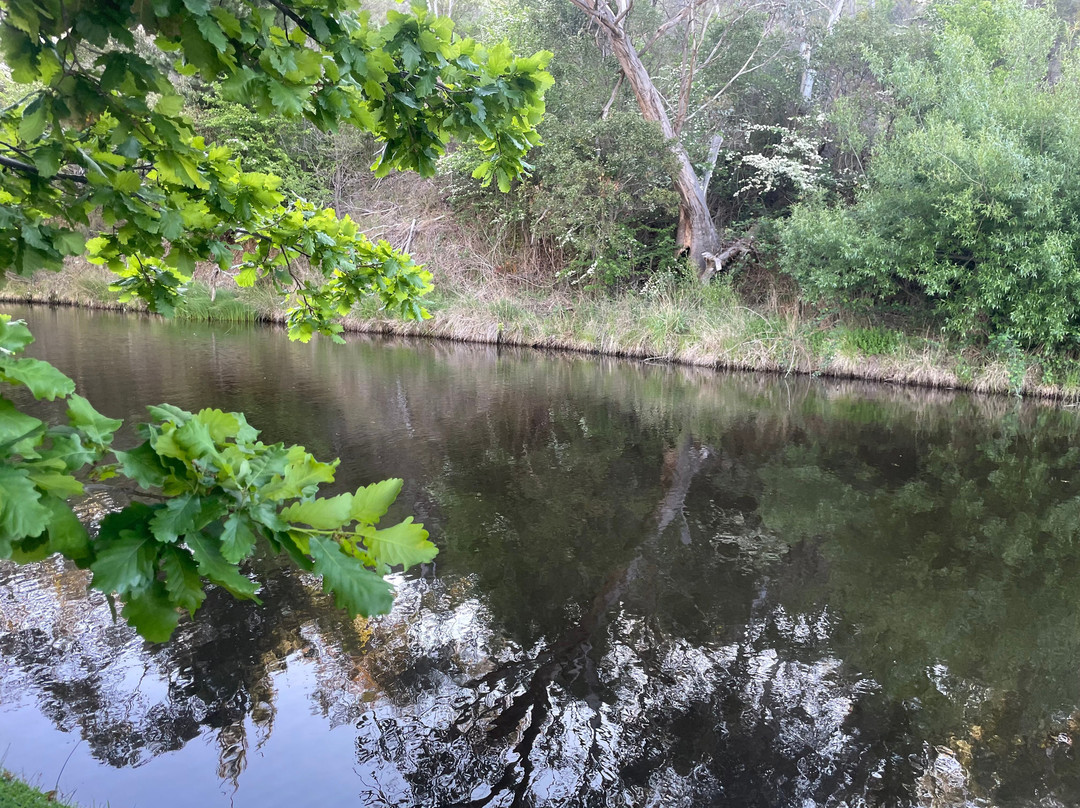 Livingstone Park-Omeo必去景点
