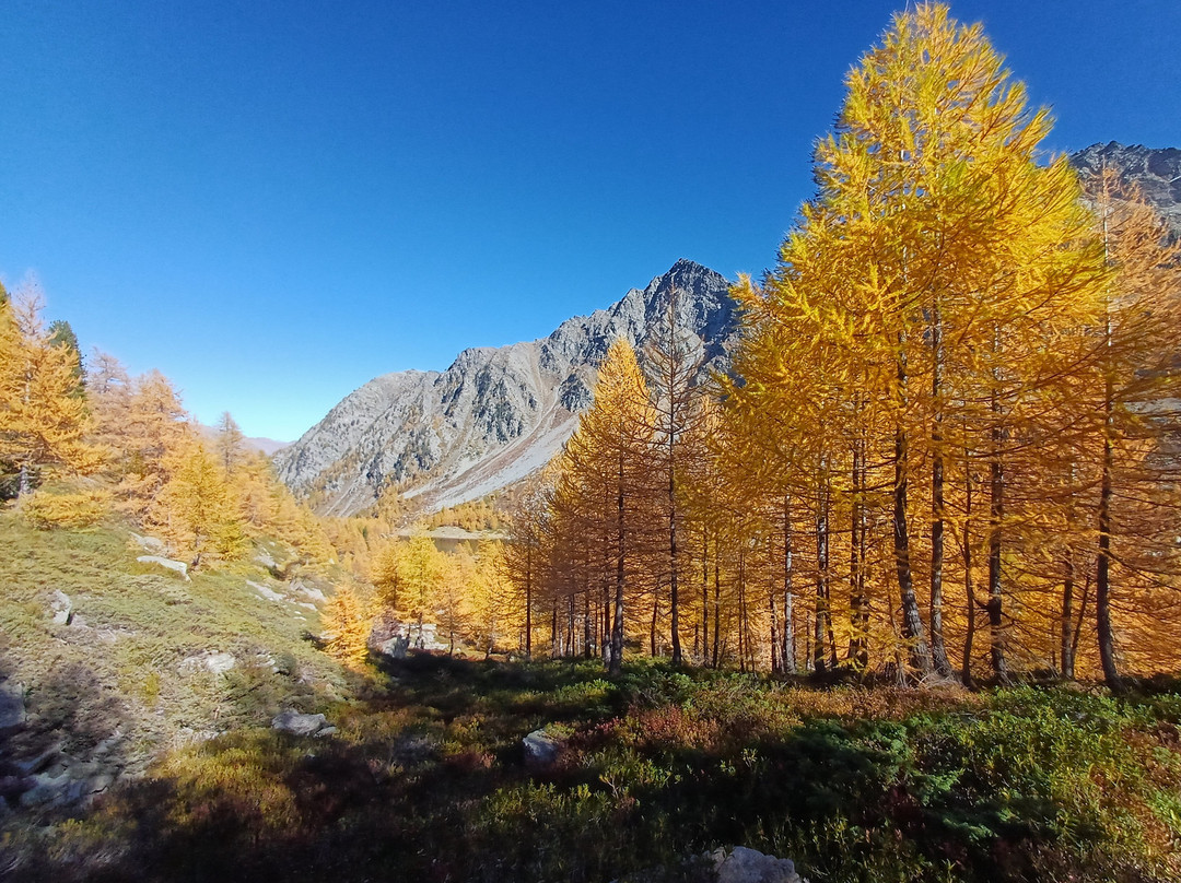 Belvedere d'Arpy-Morgex必去景点