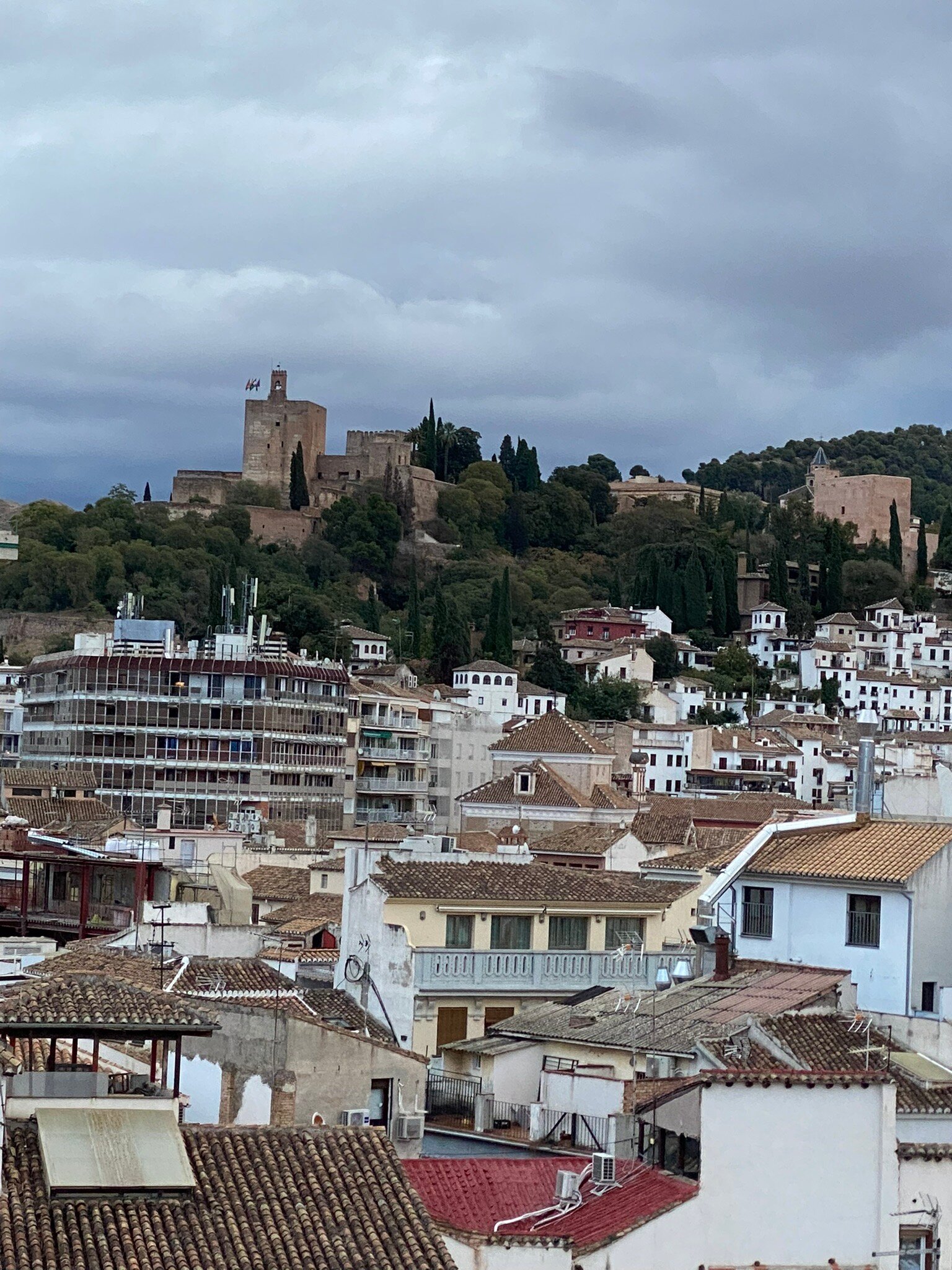 利奥酒店房间伴侣-官方