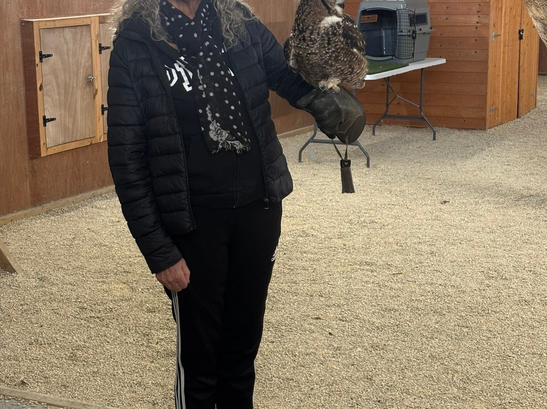 The Bird Of Prey Project-巴斯必去景点