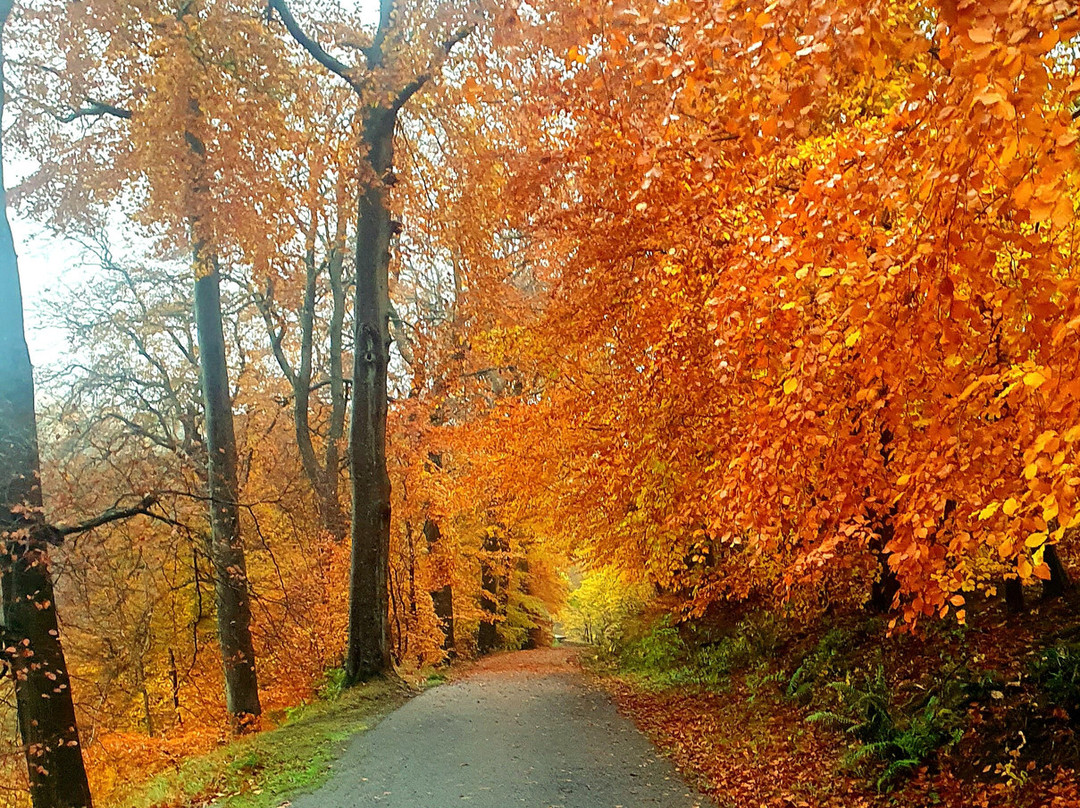 Almondell & Calderwood Country Park-Broxburn必去景点