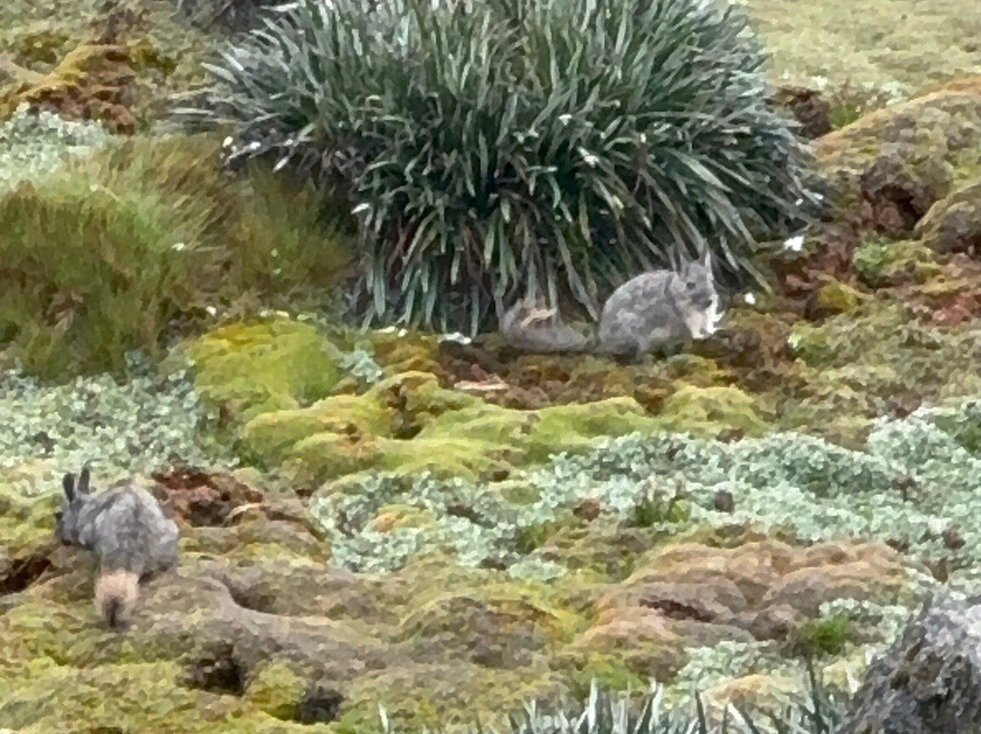 Scheler Artizon Trek-瓦拉斯必去景点