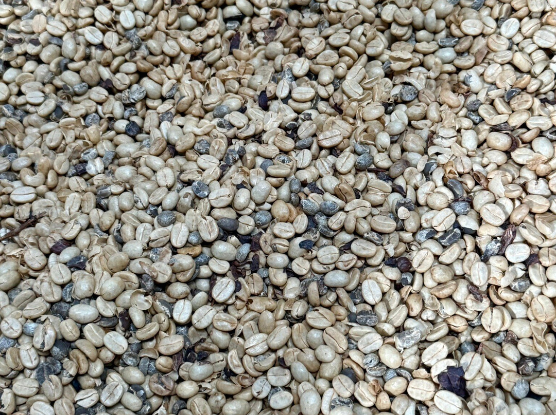 Doka Estate Coffee Tour-Poas Volcano National Park必去景点