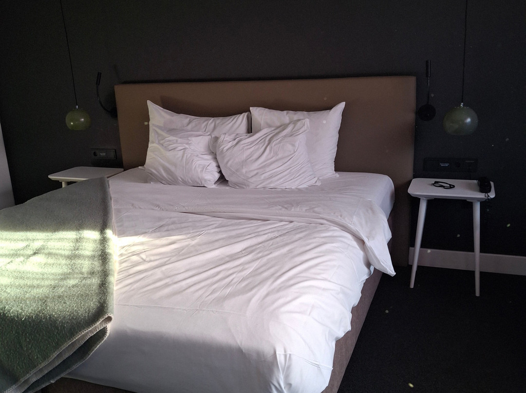 Van Der Valk Hotel Sassenheim-Leiden主图