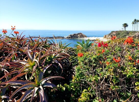 海斯勒公园-拉古纳海滩必去景点