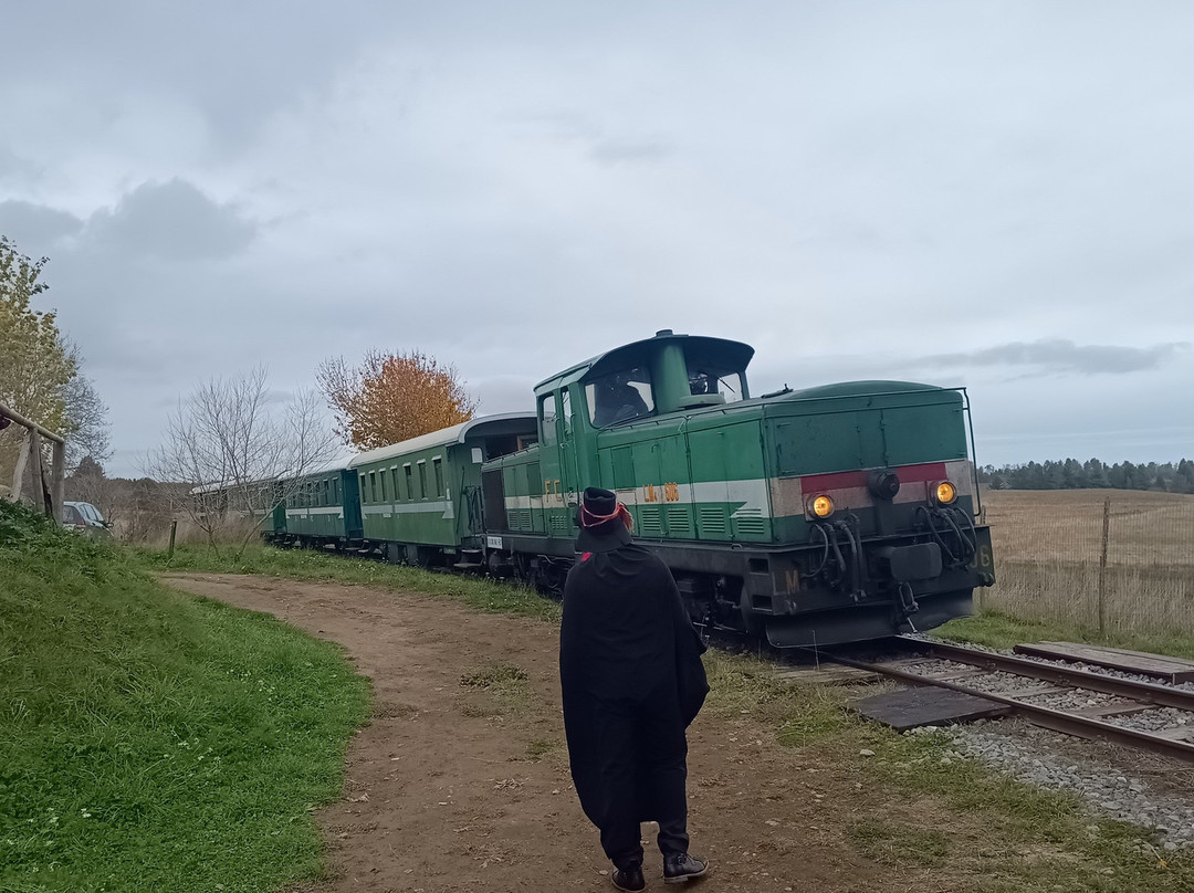 Treno della Sila-Camigliatello Silano必去景点