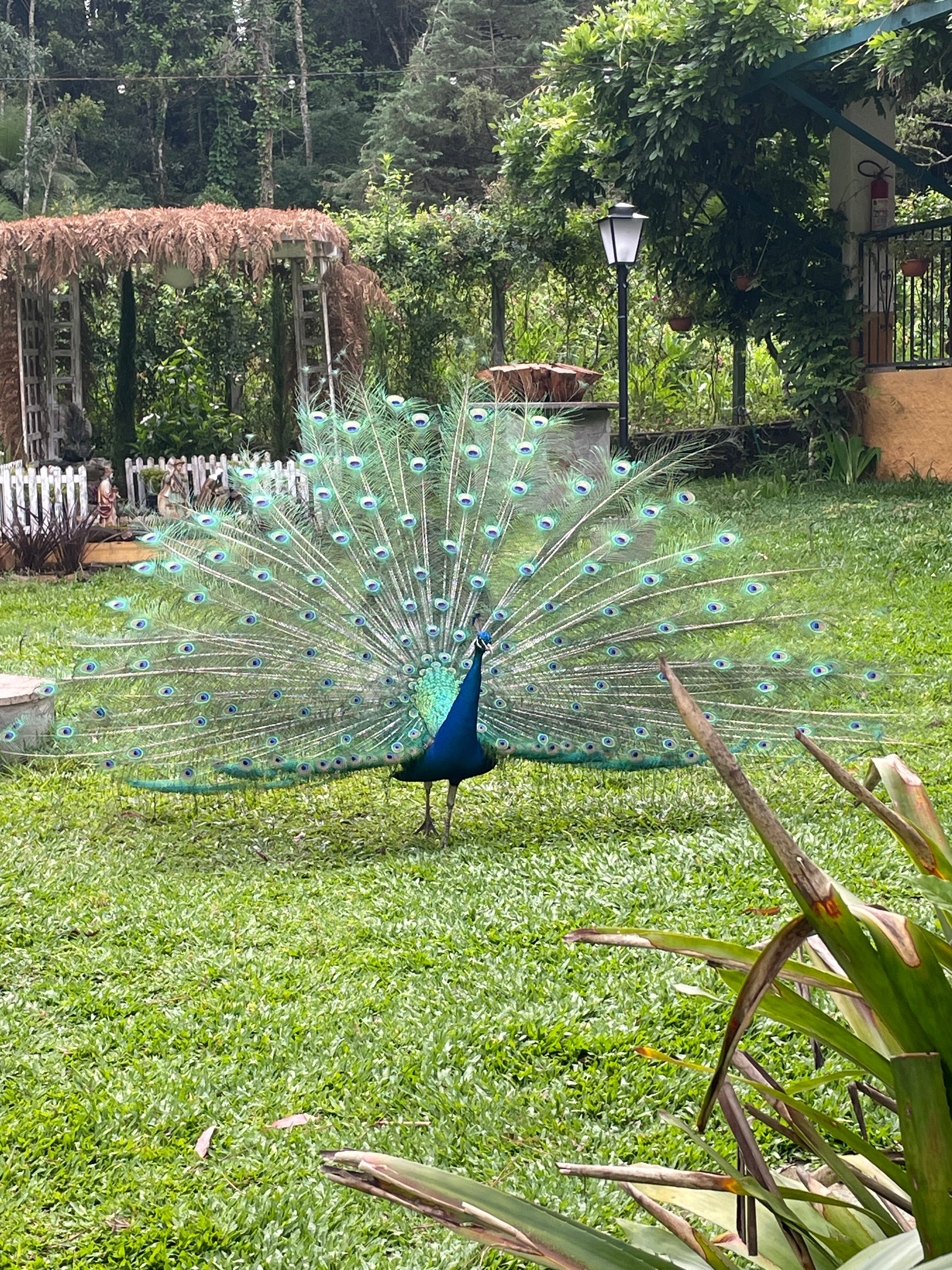 Pousada Villa D'Amore-浴室