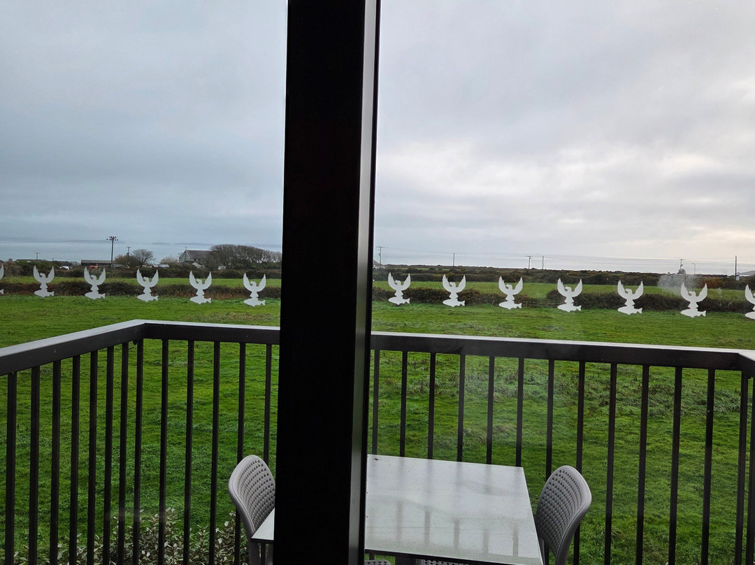 Twr y Felin Hotel主图