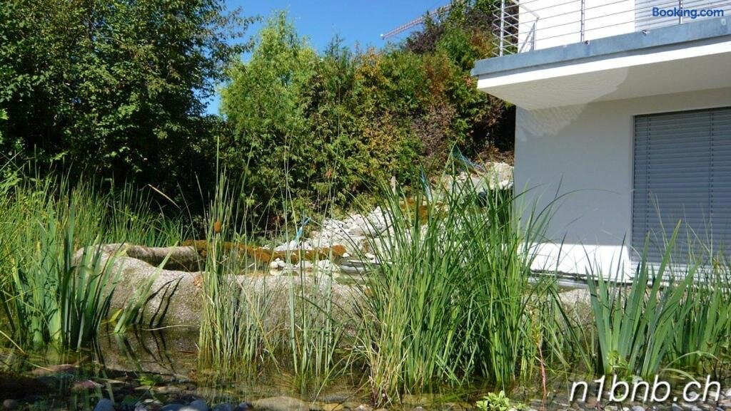N1 Bed and Breakfast Baden主图