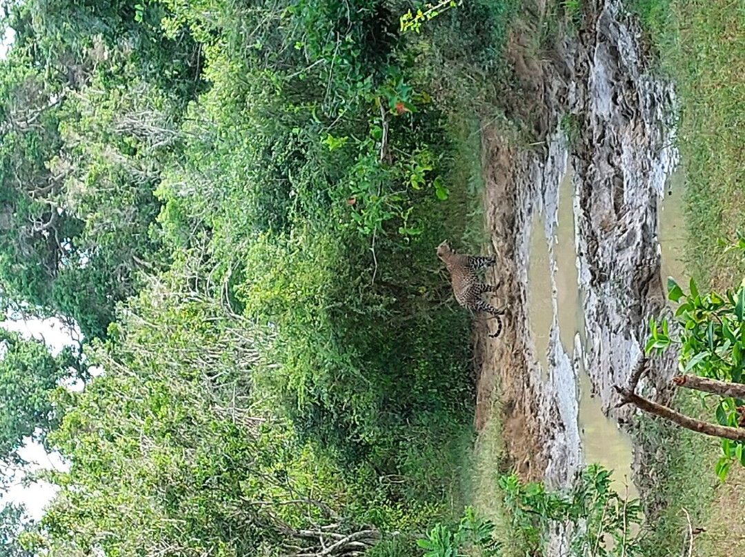 Mahasenpura酒店住宿-Shine Park