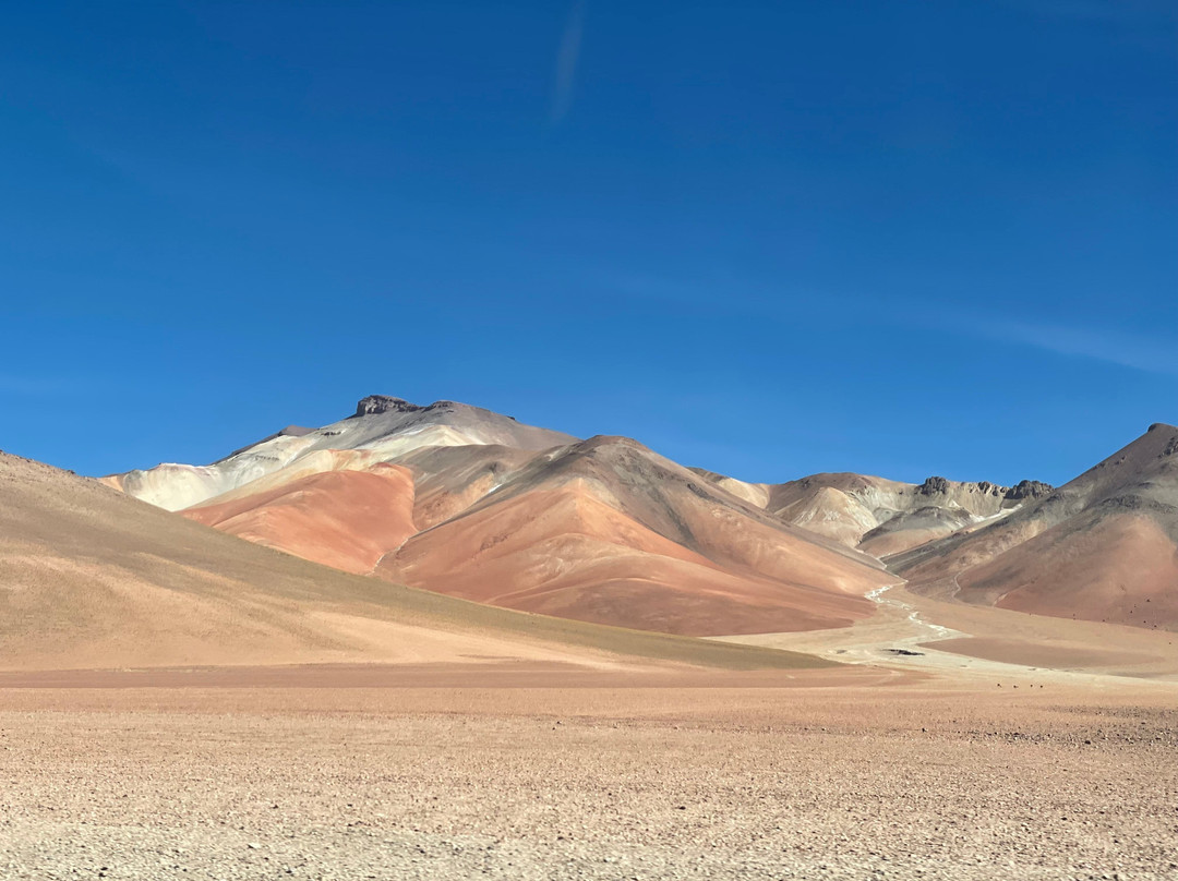 Andes Salt Expeditions Tour Operator-乌尤尼必去景点