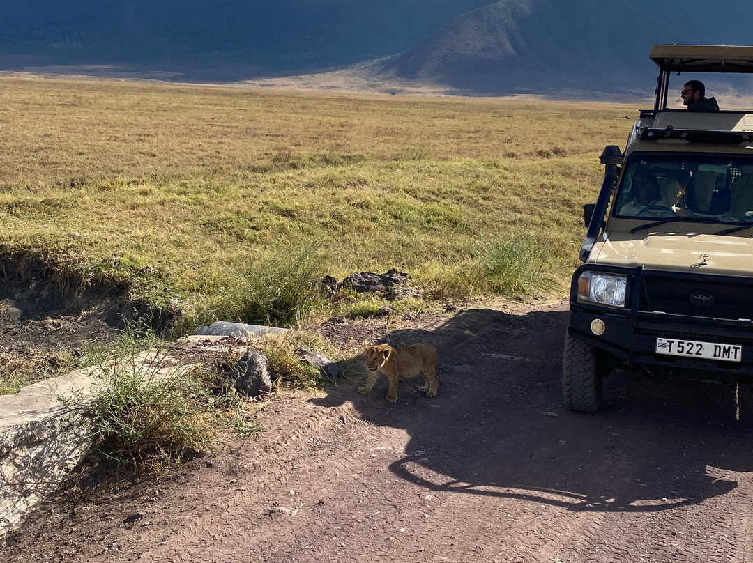 Zara Tanzania Adventures-莫西必去景点