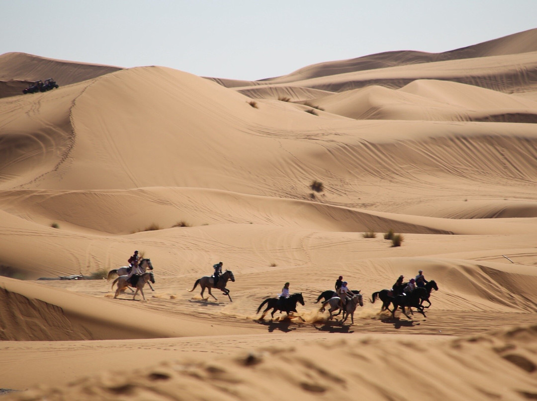 I-Tours Morocco-丹吉尔必去景点