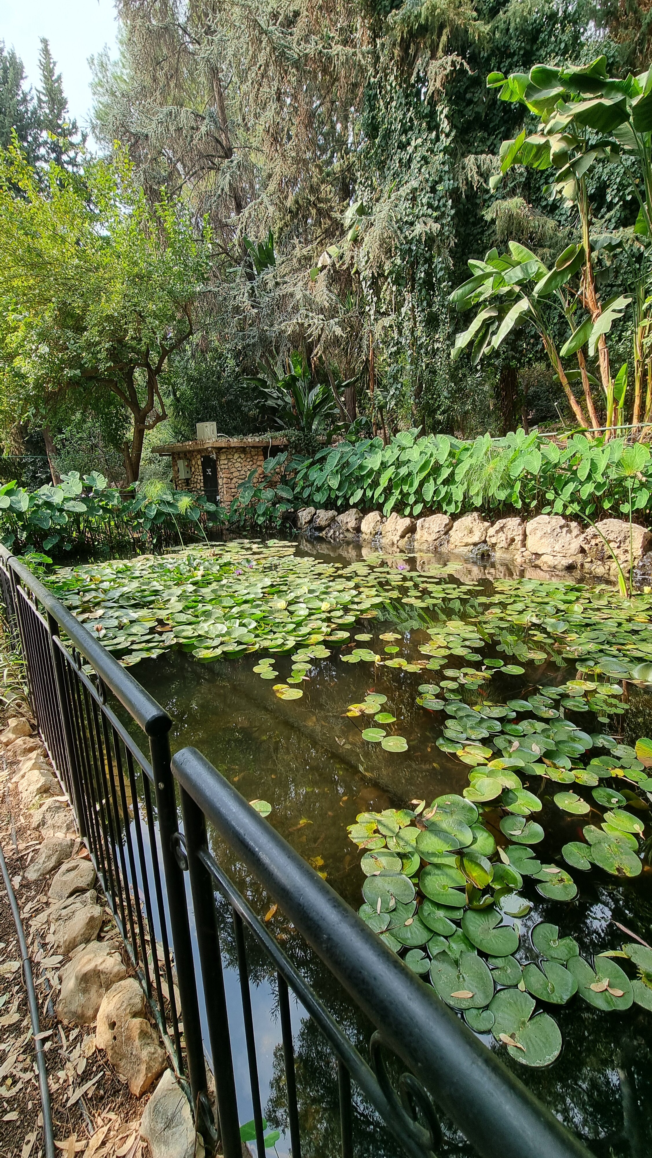 Mizpe Hayamim-官方