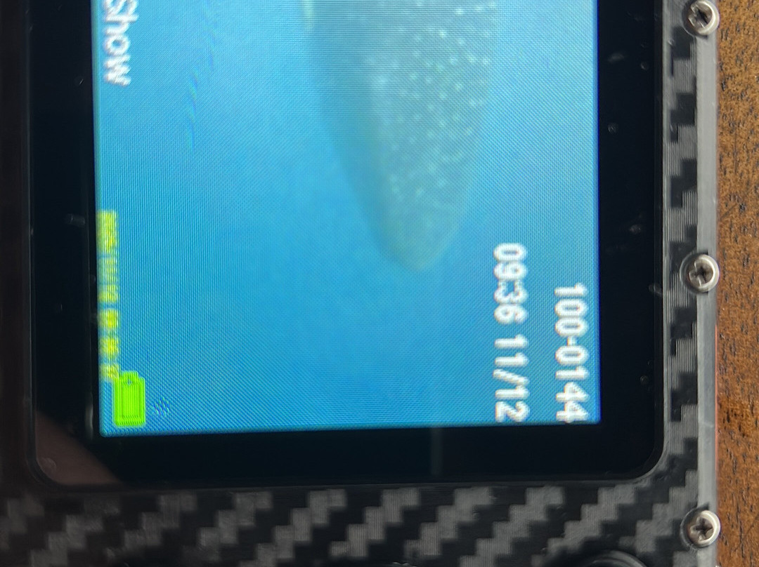 Mafia Whale Shark Tours-Kilindoni必去景点