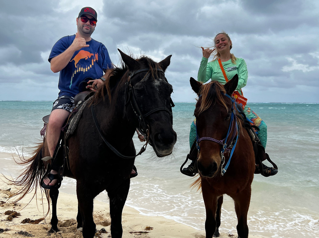 Cayman Horse Riding-西湾必去景点