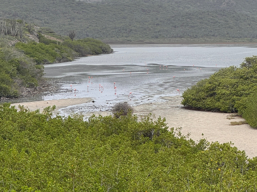 Washington-Slagbaai National Park Visitor Center Museum-Washington-Slagbaai National Park必去景点