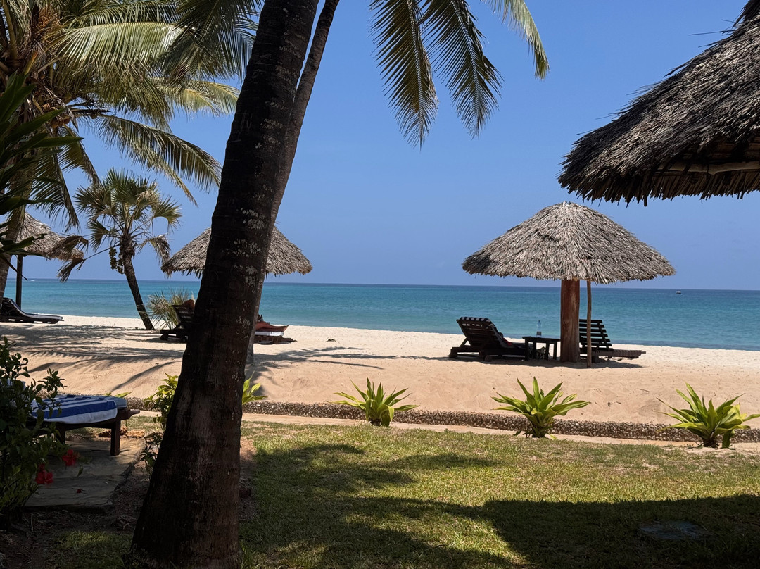 Jacaranda Indian Ocean Beach Resort主图