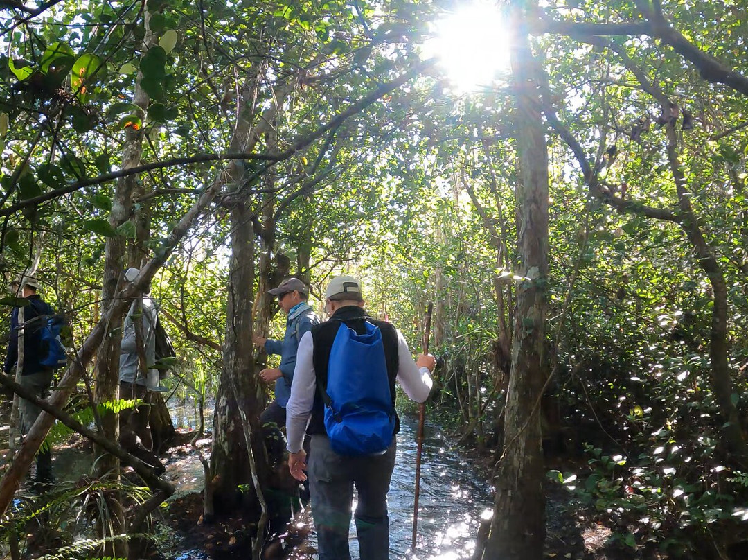 Clyde Butcher's Big Cypress Gallery-奥乔皮必去景点