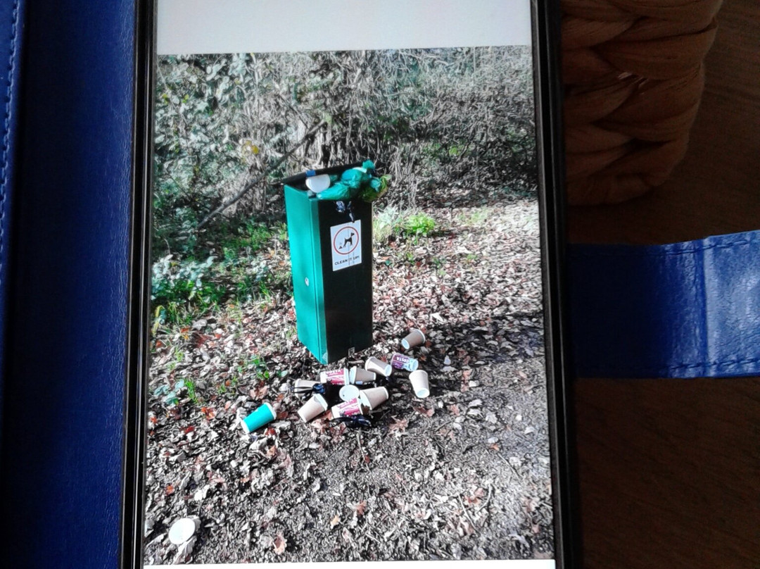 Dinton Pastures Country Park-Hurst必去景点