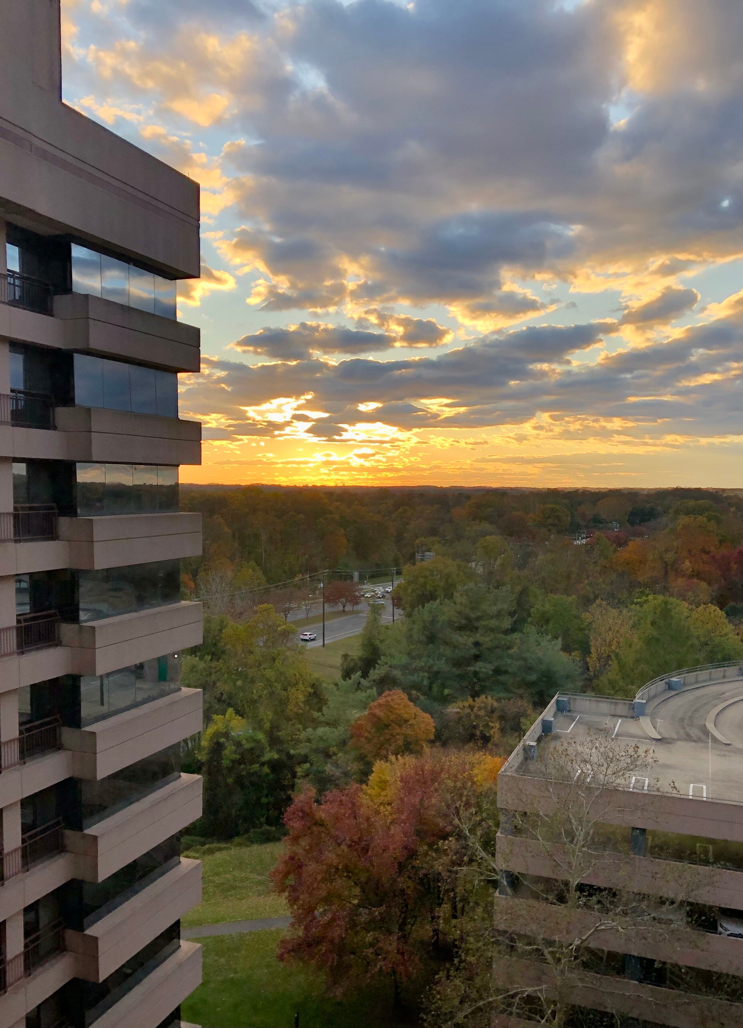贝塞斯达万豪套房酒店-酒店景观