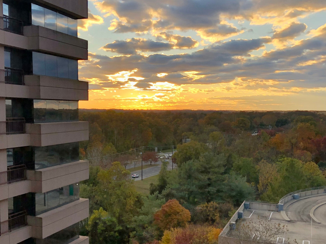 贝塞斯达万豪套房酒店主图