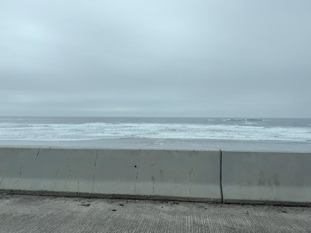 Otter Crest Marine Gardens-Otter Rock必去景点